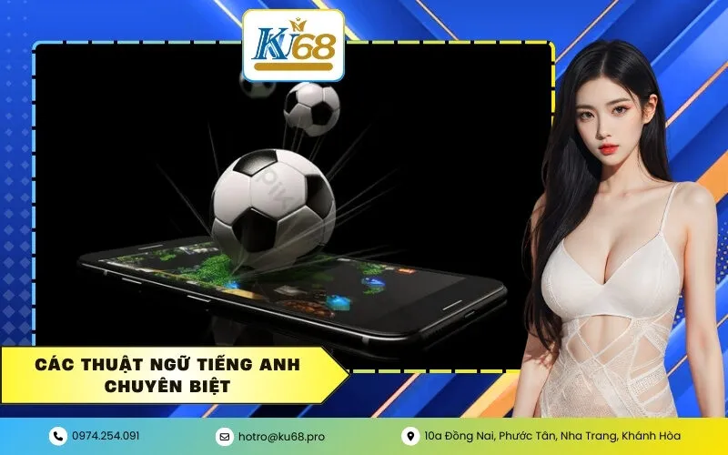 Các thuật ngữ tiếng Anh chuyên biệt