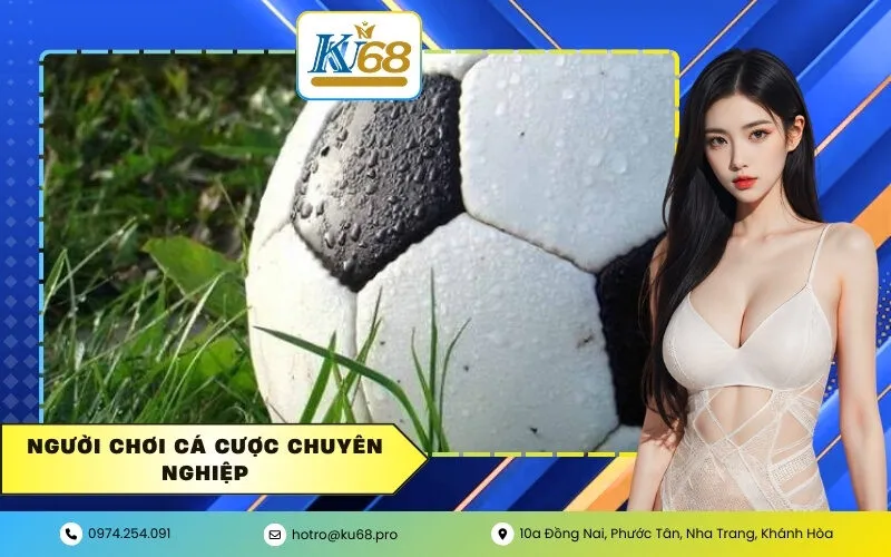 Người Chơi Cá Cược Chuyên Nghiệp