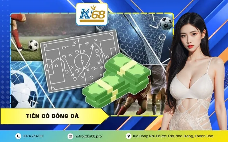 Tiền Cỏ Bóng Đá