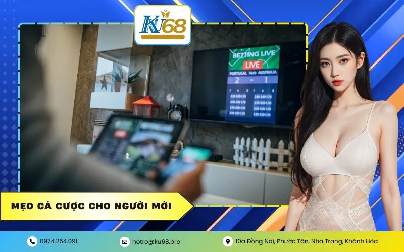Mẹo Cá Cược Cho Người Mới