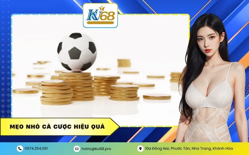 Mẹo Nhỏ Cá Cược Hiệu Quả